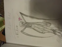 Mr Mantis 