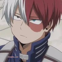 Shoto Todoroki 