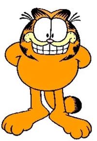 Garfield The Cat