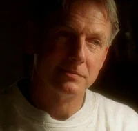 Leroy Jethro Gibbs 