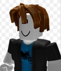 Roblox player