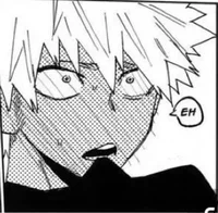 Katsuki Bakugou 