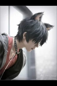 My Neko boy