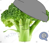 _Broccoli head_