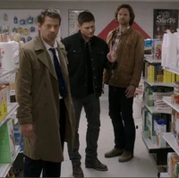 Team Free Will
