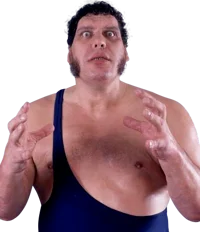 Andre the giant