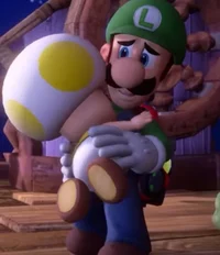 Luigi