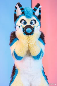Shep Fursuit 