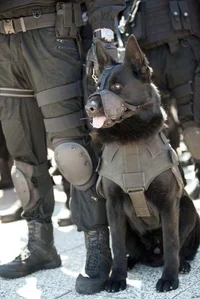 Police Dog RPG