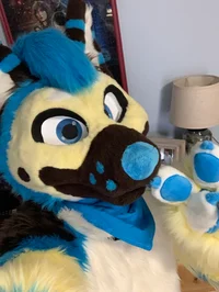 Shep Fursuit 