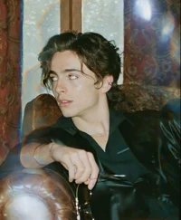 Timothée Chalamet 