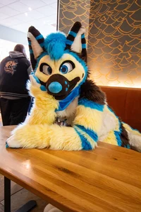 Shep Fursuit 