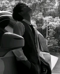 Sabiru tahta windara