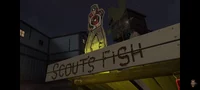 Scouts fish