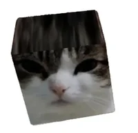 Square Cat