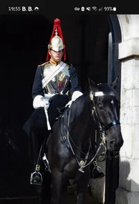 Horse Guard 