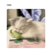 Сальвадор Дели