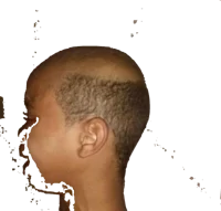 Buddy Cut Boy