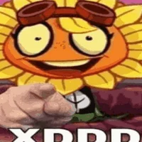 Sunflower XDD