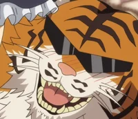 Tiger Man
