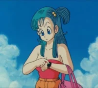 Bulma
