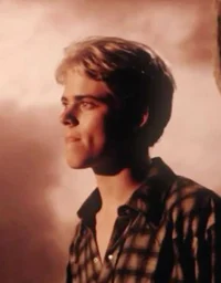 Ponyboy Curtis 