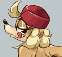 Pilot Saluki Chinook