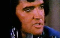 Talking with Elvis