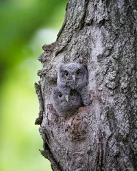 Детский сад 