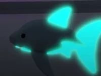 Mega Neon Shark