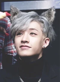 Wolf Bangchan 