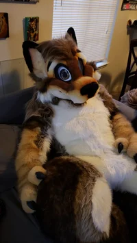 Wolfylion Fursuit 