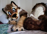 Wolfylion Fursuit 