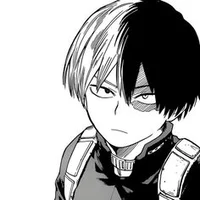 Shoto Todoroki