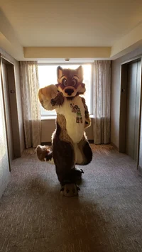 Wolfylion Fursuit 