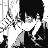 Shoto Todoroki