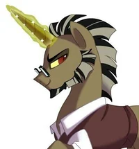 Discord - pony