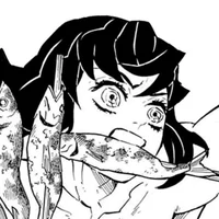 Inosuke Hashibira 