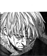 Vinland saga