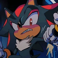 Shadow The Hedgehog