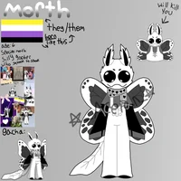 Morth the moth