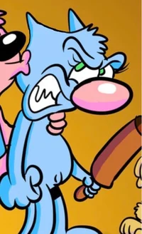 Wakky cat
