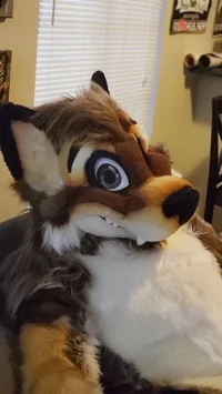 Wolfylion Fursuit 