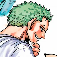 Zoro - zosan