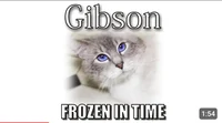 Gibson