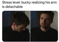 Bucky