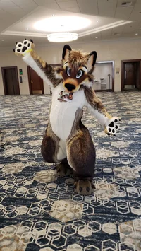 Wolfylion Fursuit 