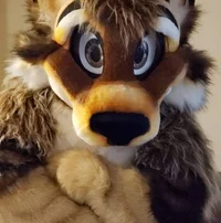 Wolfylion Fursuit 