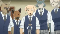Beastars RP