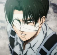 Levi Ackerman 